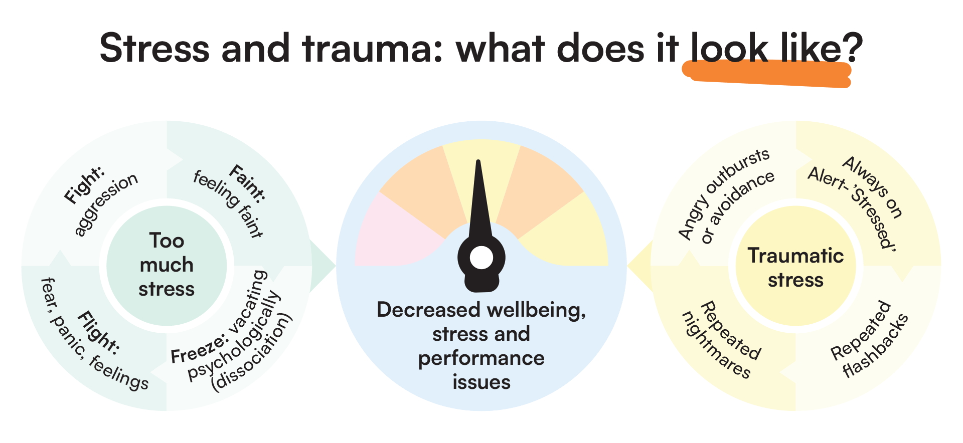 Stress and trauma: what does it look like?
